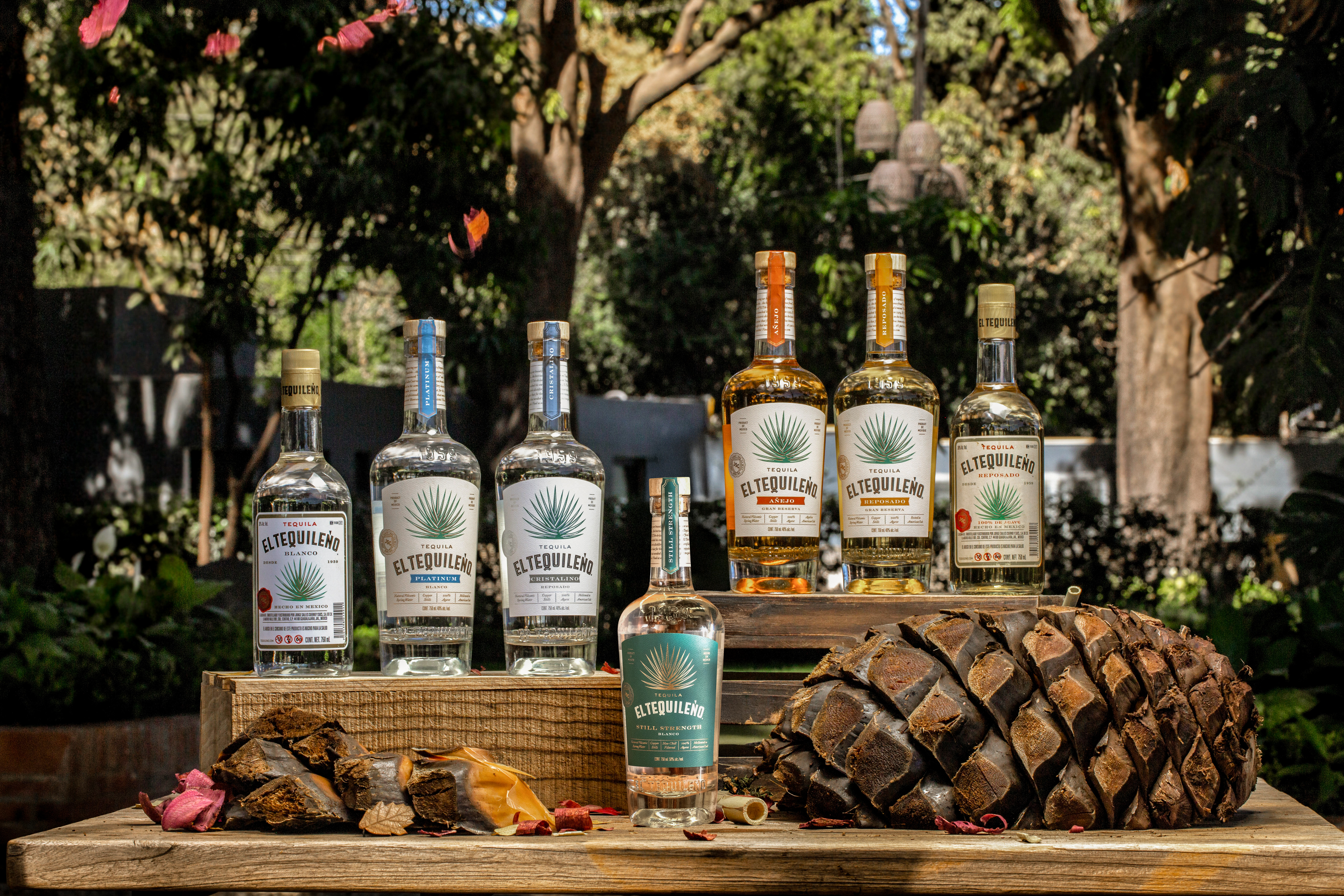 Colección de Tequila